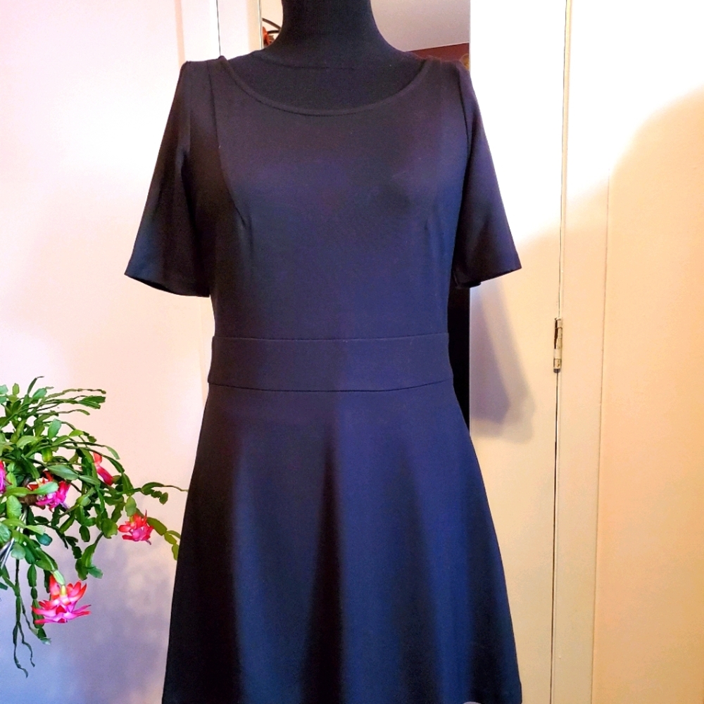 Jacob- ponte scoopneck skater dress szM